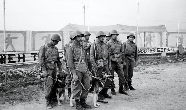 美国封存60年的绝密文件曝光：“他们曾计划杀死我们每一个人”