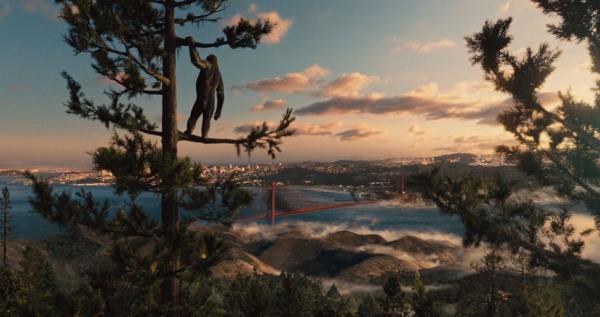 《猩球崛起》三部曲，两大智慧种族碰撞，人类是怎么把自己作没的