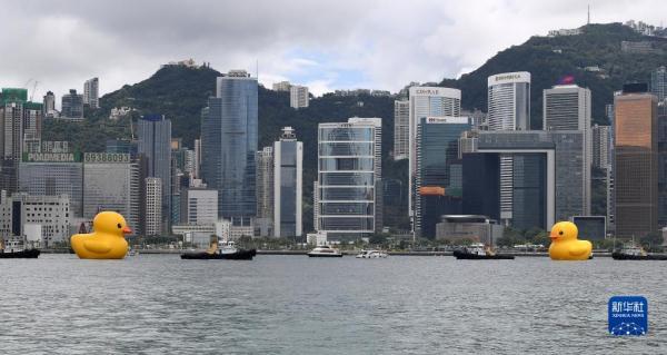 阔别十年 “大黄鸭”再度到港
