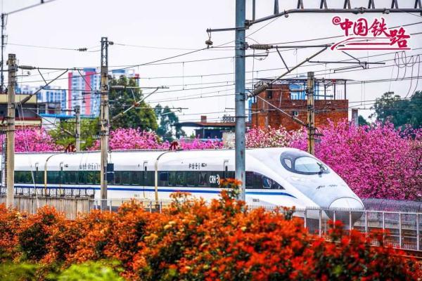 夏日限定火车风景，是浪漫的味道