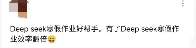 用DeepSeek赶作业是“神助攻”还是“猪队友”?网友吵翻了!
