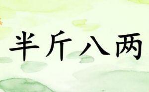 一加6与小米MIX2S上手体验，当“西装暴徒”遇上“文艺青年”？