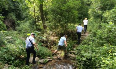 曝光！男子往车窗外扔了一个空杯子，被罚200元