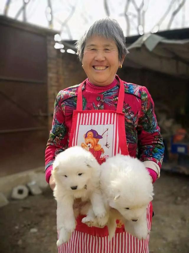 乡村纪事:我的贤妻——春兰