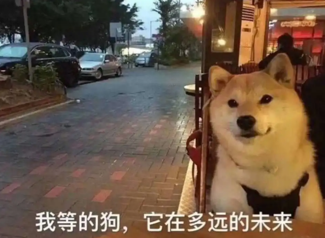 到底谈几次恋爱才能找到真爱？