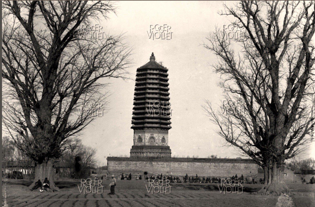 【晚清风情录】老照片中的花楼女子丰乳肥臀，30张尽显绝代风姿