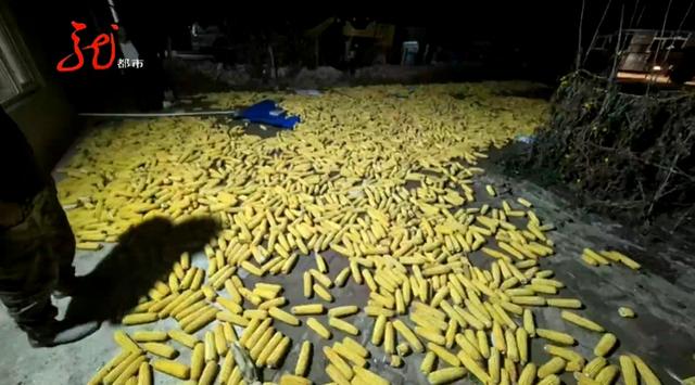 两男一女被抓！并交代苞米地里还有5人……