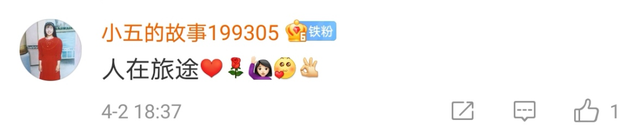 好听！这些歌，就是踏青路上的听觉盛宴