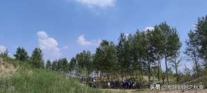 蒋大为的北国之春(蒋大为和他演唱的那首令人泪目的《北国之春》)