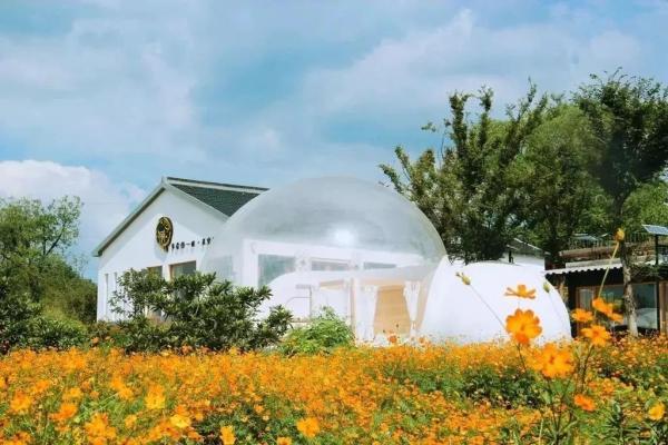 一到秋天，南京就美成了金陵！赏秋大幕已经拉开