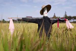 马铃(十日谈｜马铃响起时)