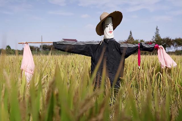 十日谈｜马铃响起时