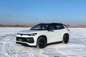 大众新款探岳(20T动力，带四驱，智能体验更强，试驾一汽-大众全新探岳L)