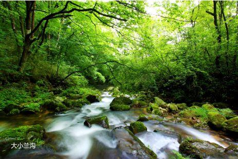 我为巴中建言丨田映林：基层政府契约精神的培养