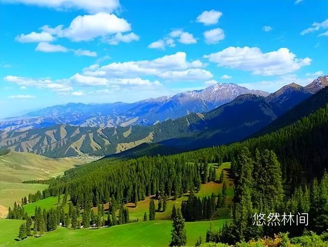 一缕夜色·满怀激情