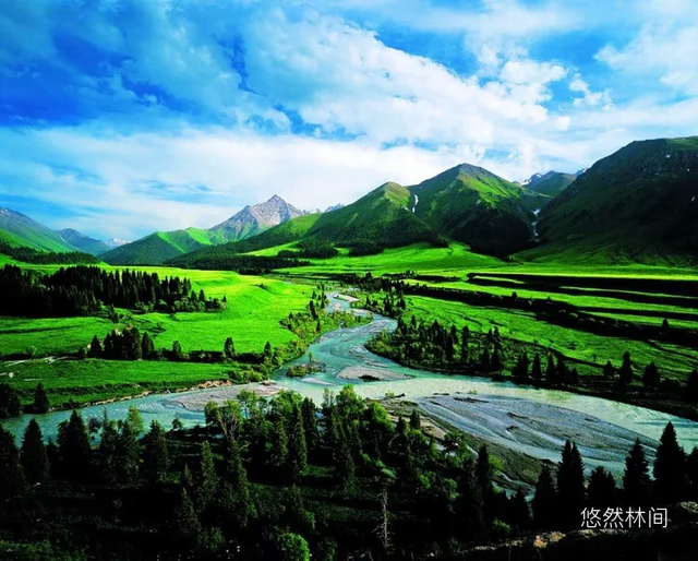 一缕夜色·满怀激情