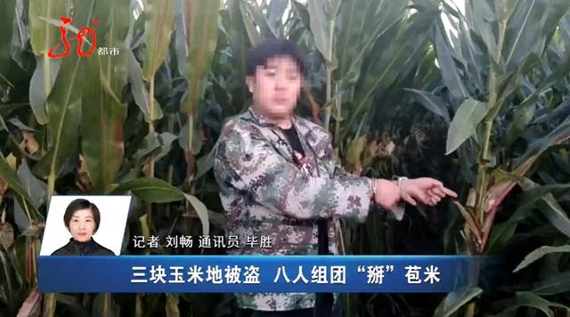 两男一女被抓！并交代苞米地里还有5人……