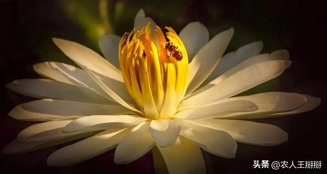 越是高的圈子 越是人捧人，越是低的圈子 越是人踩人