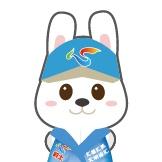 今天，为大家推荐位于斜土街道的这家宝藏博物馆