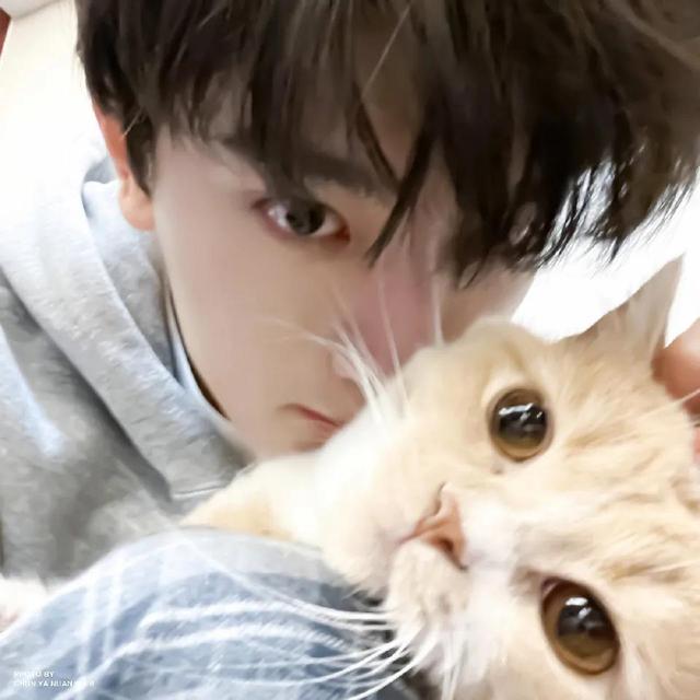 帅哥头像｜阳光男孩头像｜无水印