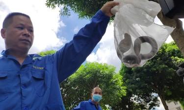 曝光！男子往车窗外扔了一个空杯子，被罚200元