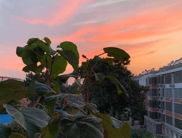 “我和我的家乡”摄影大赛|山东政法学院杨静怡:共迎家乡之变