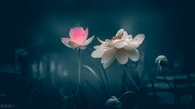 梁晓声的《人间悲喜》：生活就是一半诗意，一半烟火