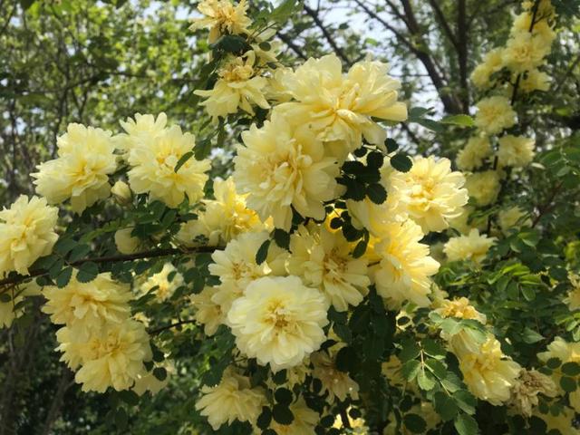 “我和我的家乡”摄影大赛|山东政法学院杨静怡:共迎家乡之变