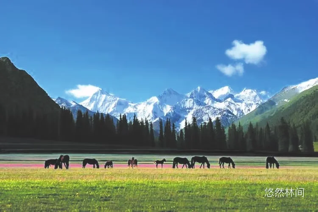 一缕夜色·满怀激情