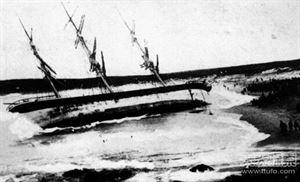 世界25大悬谜：沙滩现数十亿不明生物