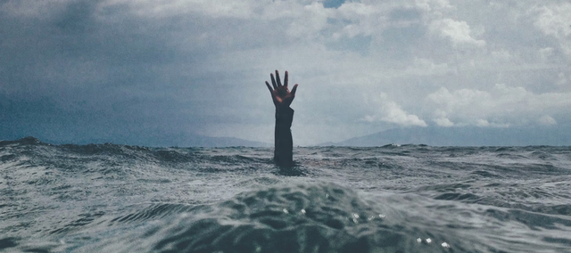 掘金情色文学,po文救得了国产剧吗?