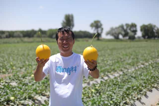 数十万人众筹“沙瓜先生”，助力民勤产业治沙