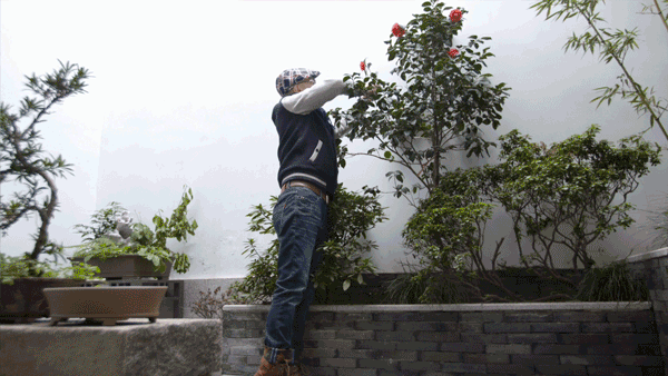 苏州教授一个人住200m²，每天琴棋书画，网友：也太会宅了