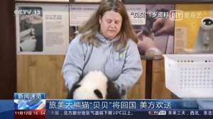 三千宠爱(三千宠爱于一身美国“迷妹”含泪不舍)