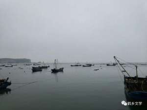 郭小峰(作家郭小峰杂文作品选)