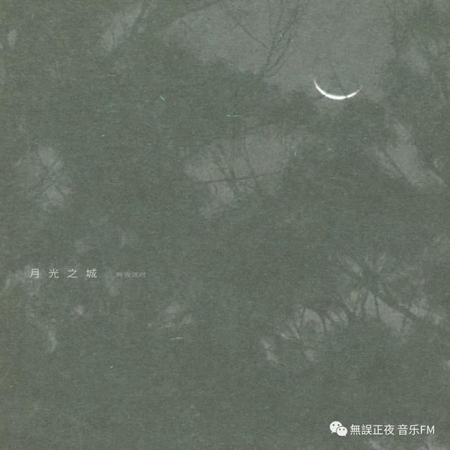 【宝藏乐队：昨夜派对（L.N Party）】这才是真正的独立音乐！