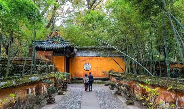 诗坛佳话｜​龚红：春风惠我