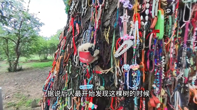 【视频】柬埔寨金边钟屋杀人场博物馆纪实