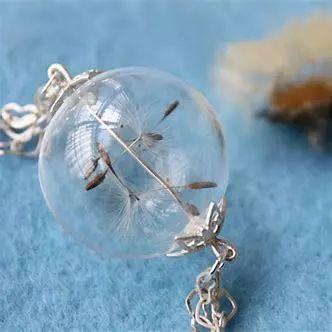 「潍·悦读」爱，是一种遇见