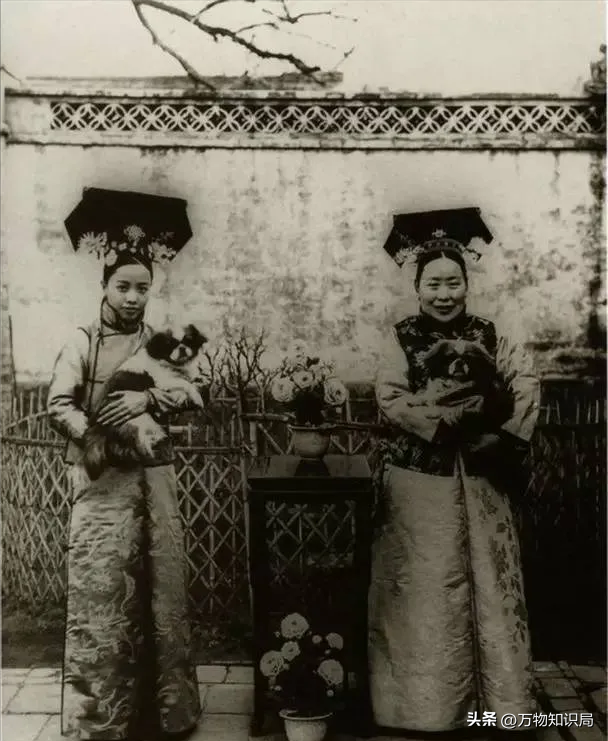 晚清老照片：男男女女挤在一起打麻将，囚徒感觉丢脸躲避镜头