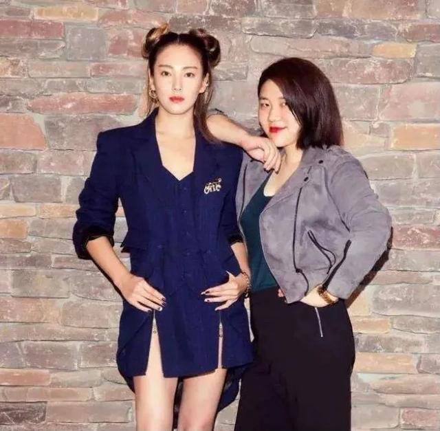 带出顶级流量明星范冰冰和鹿晗，王牌经纪人杨天真的上位之路