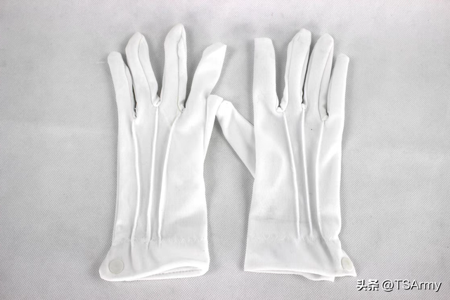 解放战争时期,一个国军“师座”身上的十大件