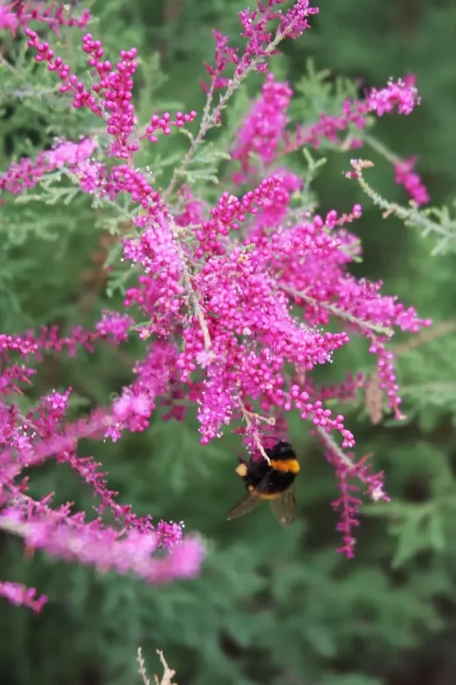 一缕夜色·满怀激情