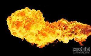 世界25大悬谜：沙滩现数十亿不明生物