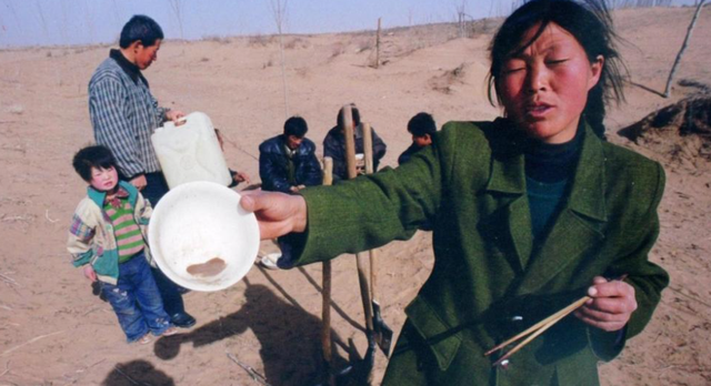 “沙漠之花”殷玉珍：宁肯种树累死，也不叫沙欺负死。