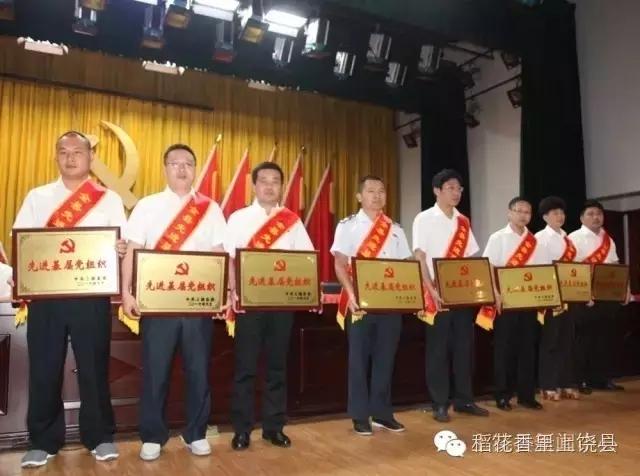 我县召开庆祝中国共产党成立95周年大会