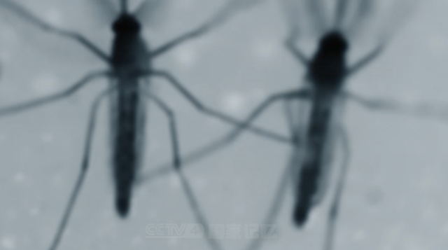 41个人头骨！揭秘日本在南京运行的绝密“死亡工厂”