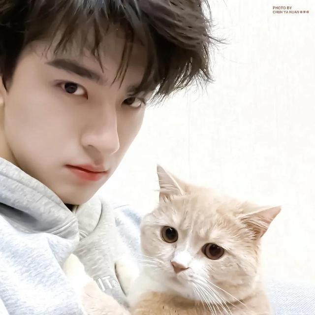 帅哥头像｜阳光男孩头像｜无水印