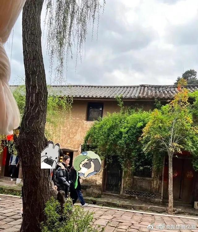 4.11剧讯：张翰 辣目洋子 秦昊 邓为 檀健次 任嘉伦 杨洋 关晓彤 张国立