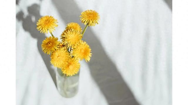 做人最高级的智慧：装穷